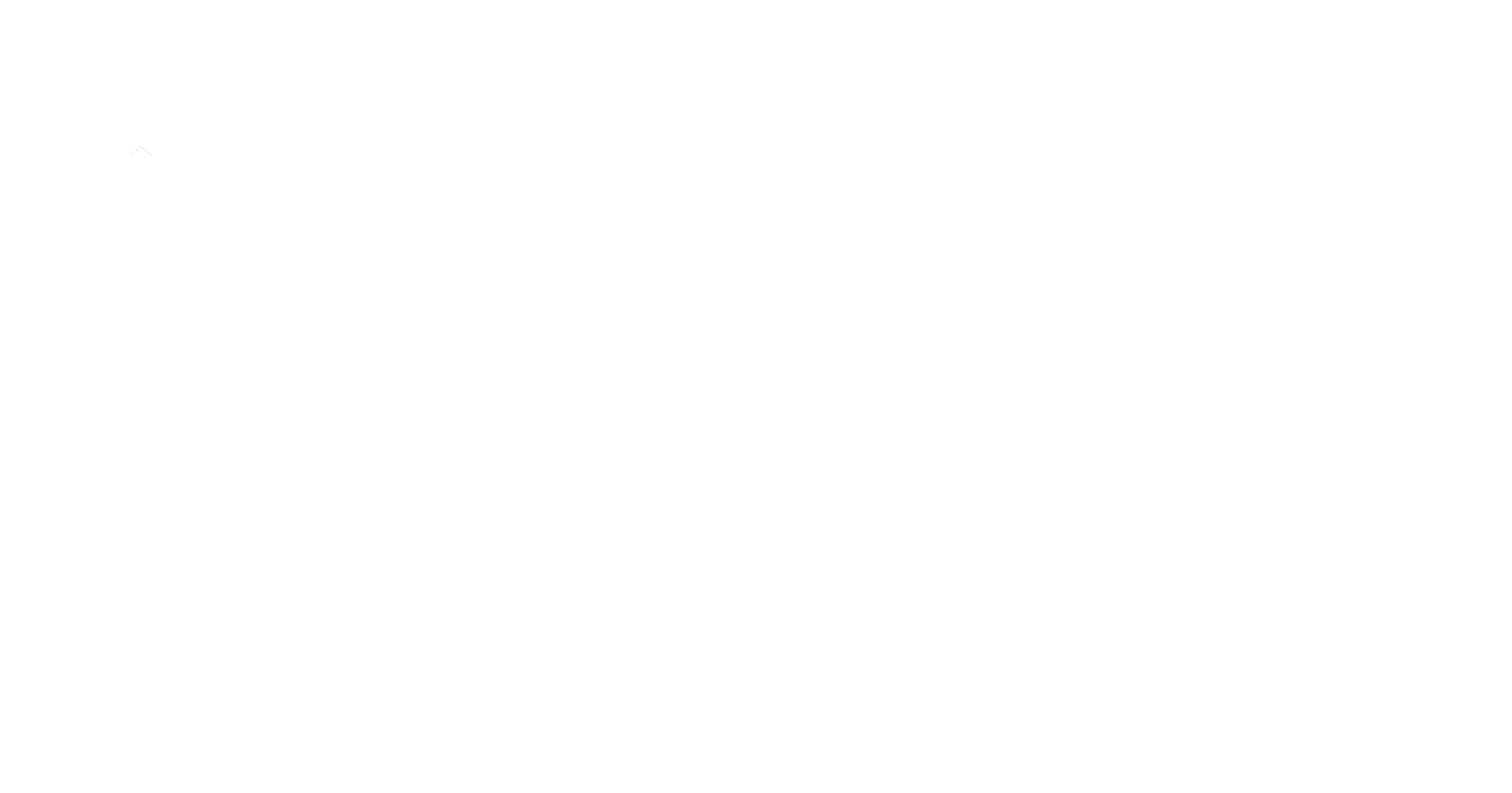 Ine Tattoo – Estúdio de Tatuagem em Marau-RS